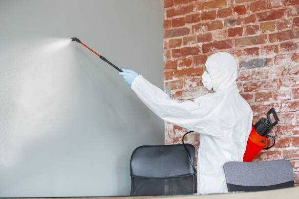 Best Dehumidification Services  in Franklin, KY