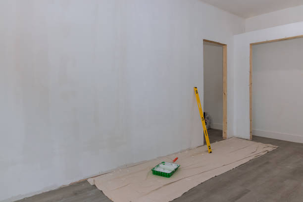Best Emergency Mold Remediation  in Franklin, KY