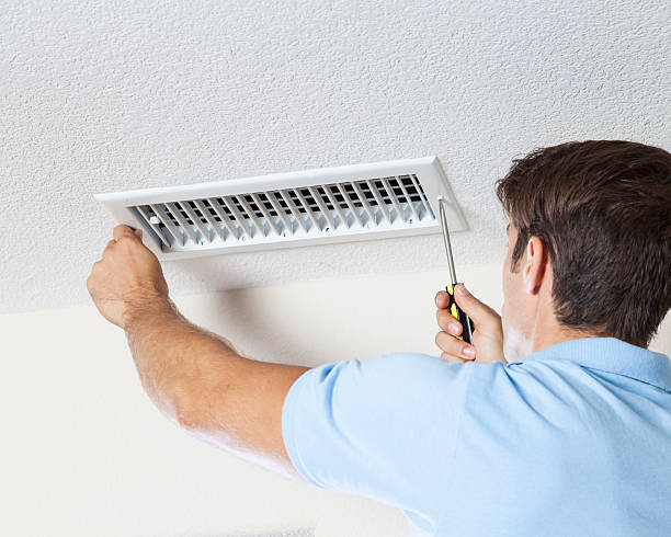Best Crawl Space Mold Remediation  in Franklin, KY