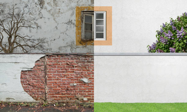 Best Industrial Mold Remediation  in Franklin, KY