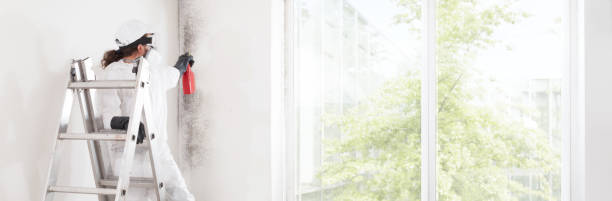 Best Real Estate Mold Inspection  in Franklin, KY