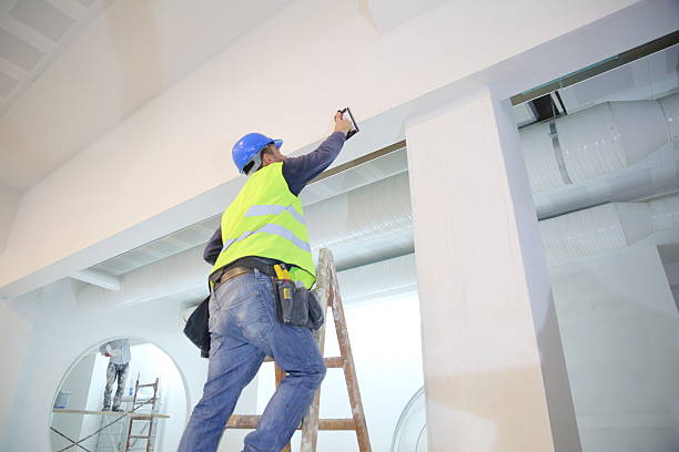  Franklin, KY Mold Removal Pros