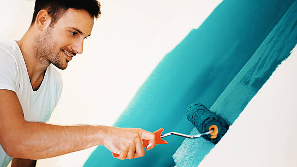 Trusted Franklin, KY Mold Removal Experts