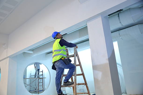 Best Commercial Mold Inspection  in Franklin, KY